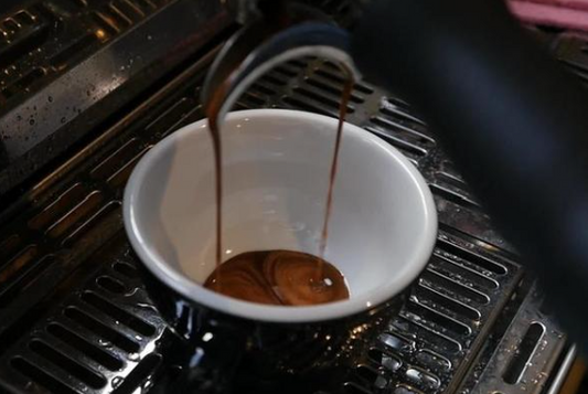 Black Thorn Dark Roast - Rich Dark Chocolate bold