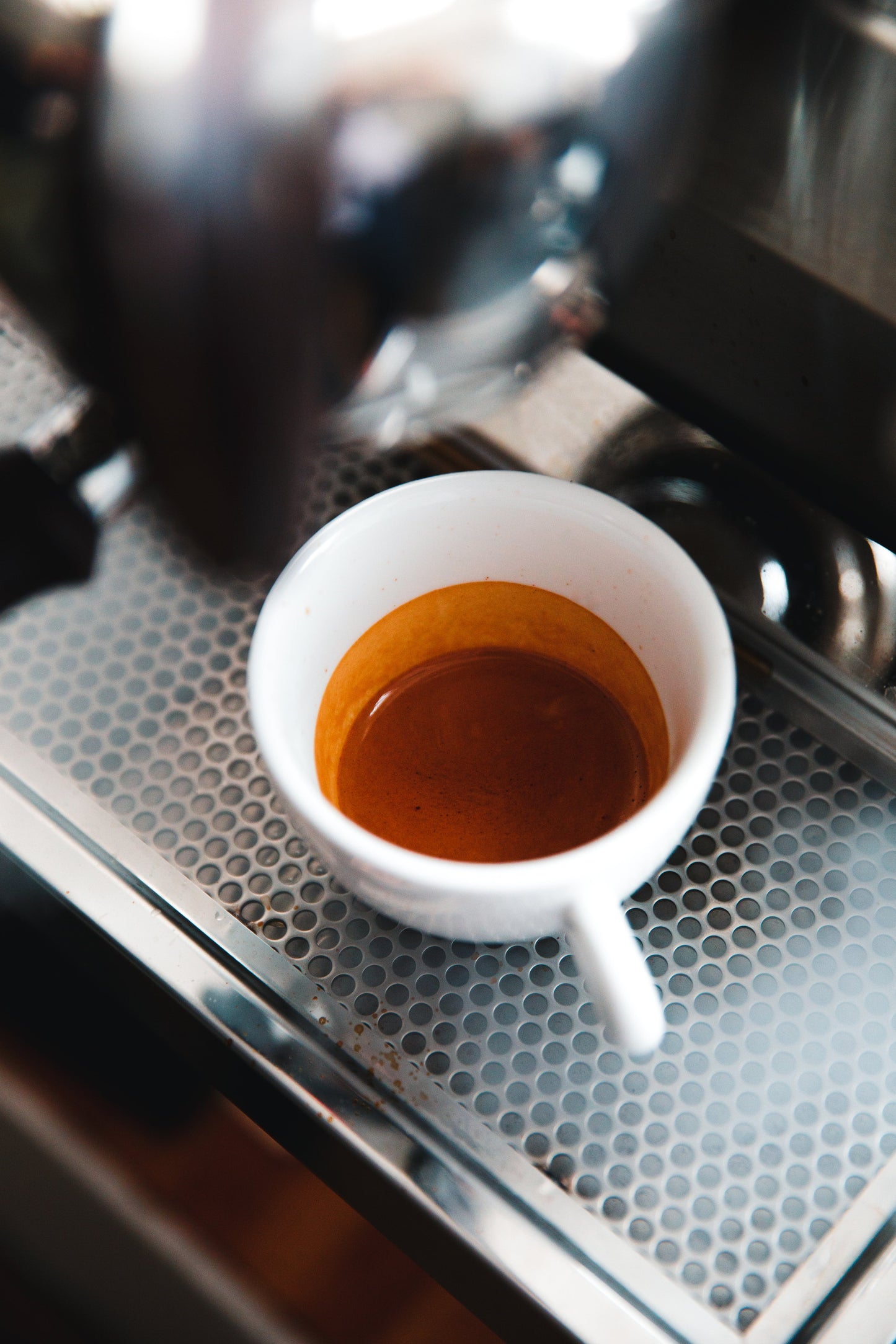 BLACK THORN DARK ROAST RICH DARK CHOCOLATE