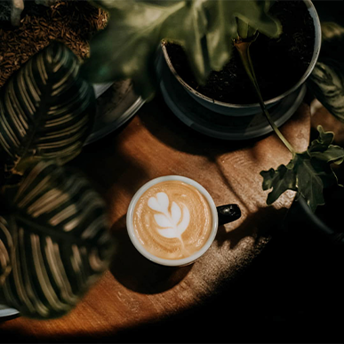 Wildly Passionate. Seriously Great Coffee.