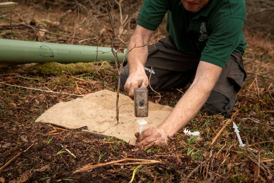 Proud Supporters of Moor Trees